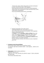 Kineziterapijos specialieji testai 3 puslapis