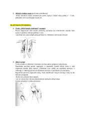 Kineziterapijos specialieji testai 4 puslapis