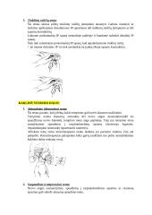 Kineziterapijos specialieji testai 6 puslapis