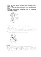 Kineziterapijos specialieji testai 7 puslapis
