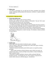 Kineziterapijos specialieji testai 8 puslapis