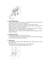 Kineziterapijos specialieji testai 9 puslapis