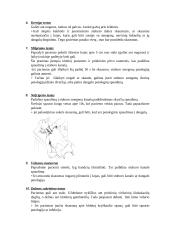 Kineziterapijos specialieji testai 10 puslapis