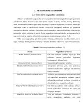 Skausminiai sindromai: odos nervo suspaudimo sindromas. Genitofemoralinė neuralgija. Fantominis skausmas 3 puslapis