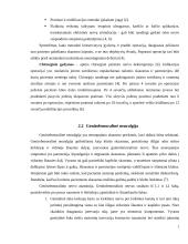 Skausminiai sindromai: odos nervo suspaudimo sindromas. Genitofemoralinė neuralgija. Fantominis skausmas 6 puslapis