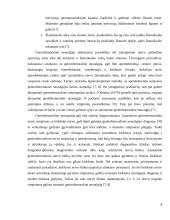 Skausminiai sindromai: odos nervo suspaudimo sindromas. Genitofemoralinė neuralgija. Fantominis skausmas 7 puslapis