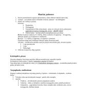 Organų anatomijos konspektas 17 puslapis