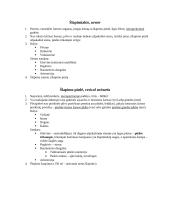 Organų anatomijos konspektas 19 puslapis