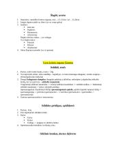 Organų anatomijos konspektas 20 puslapis