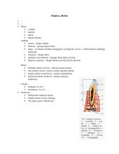 Organų anatomijos konspektas 3 puslapis