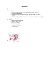 Organų anatomijos konspektas 4 puslapis