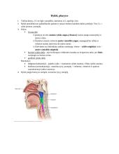 Organų anatomijos konspektas 5 puslapis
