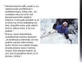 Sėkmės atvejis – Erik Weihenmayer 12 puslapis