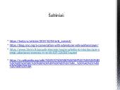 Sėkmės atvejis – Erik Weihenmayer 16 puslapis