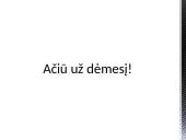 Sėkmės atvejis – Erik Weihenmayer 17 puslapis