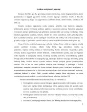 Senyvo amžiaus ir (ar) ilgalaikę negalią turinčių asmenų reabilitacijos problemų individualizuotas sprendimas 2 puslapis