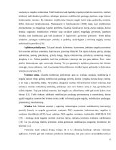 Senyvo amžiaus ir (ar) ilgalaikę negalią turinčių asmenų reabilitacijos problemų individualizuotas sprendimas 8 puslapis