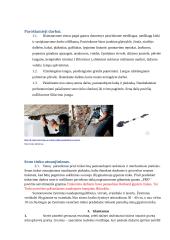 Dažymas, dekoravimas. Technologijų mokyklinio brandos egzamino darbo aprašas 5 puslapis