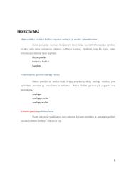 Dažymas, dekoravimas. Technologijų mokyklinio brandos egzamino darbo aprašas 8 puslapis