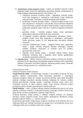 Viešųjų finansų teisė 2 puslapis