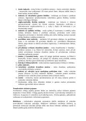 Viešųjų finansų teisė 13 puslapis