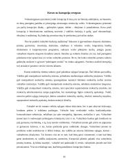 Kultūra, korupcija ir kyšiai 9 puslapis