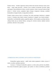 Lietuvos ir Vokietijos švietimo sistemų lyginamoji analizė 3 puslapis