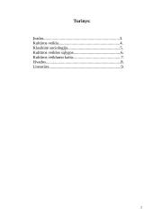 Kultūros veikla 2 puslapis