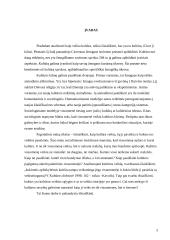 Kultūros veikla 3 puslapis