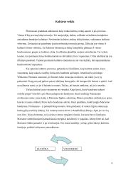 Kultūros veikla 4 puslapis