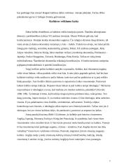 Kultūros veikla 7 puslapis