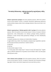 Laisvalaikio praleidimo galimybės Anykščių mieste 2 puslapis