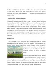 Laisvalaikio praleidimo galimybės Anykščių mieste 13 puslapis