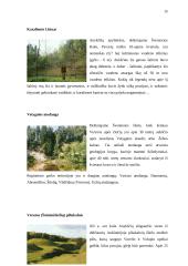 Laisvalaikio praleidimo galimybės Anykščių mieste 14 puslapis