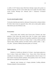 Laisvalaikio praleidimo galimybės Anykščių mieste 15 puslapis