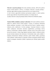 Laisvalaikio praleidimo galimybės Anykščių mieste 3 puslapis