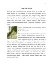 Laisvalaikio praleidimo galimybės Anykščių mieste 4 puslapis