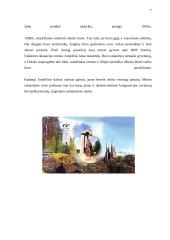 Laisvalaikio praleidimo galimybės Anykščių mieste 6 puslapis