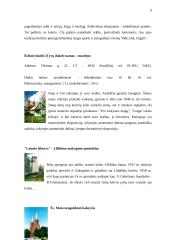 Laisvalaikio praleidimo galimybės Anykščių mieste 8 puslapis