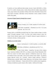 Laisvalaikio praleidimo galimybės Anykščių mieste 9 puslapis