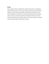 Duomenų bazių rezervinių kopijų kūrimas ir atstatymas 3 puslapis
