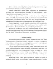 Atvejo analizė. W. Golding „Musių valdovas“ 2 puslapis