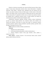 Buhalterinės apskaitos statistikos darbas 2 puslapis