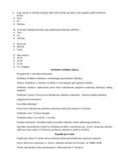 Buhalterinės apskaitos statistikos darbas 4 puslapis