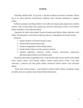 Leksikos klaidos verslo darbuotojų dalykinėje kalboje 3 puslapis