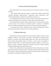 Leksikos klaidos verslo darbuotojų dalykinėje kalboje 4 puslapis