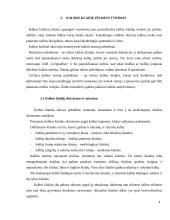 Leksikos klaidos verslo darbuotojų dalykinėje kalboje 5 puslapis