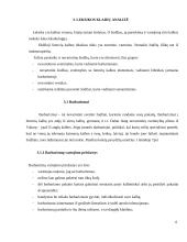 Leksikos klaidos verslo darbuotojų dalykinėje kalboje 7 puslapis