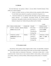 Leksikos klaidos verslo darbuotojų dalykinėje kalboje 9 puslapis