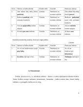 Leksikos klaidos verslo darbuotojų dalykinėje kalboje 10 puslapis